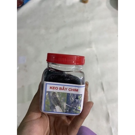 Bộ sào bẫy chim dài 6m full phụ kiện - siêu giảm giá