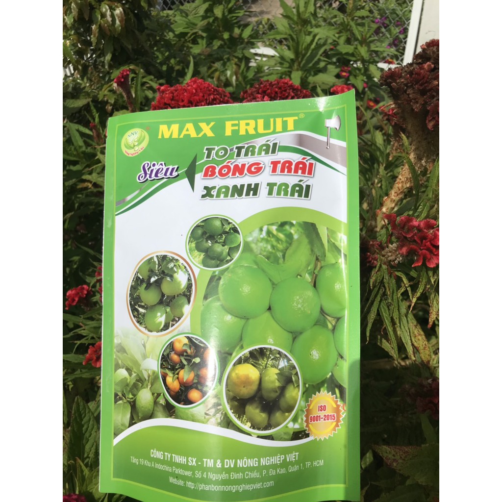 Phân Bón Siêu To Bóng Trái Max Fruit Gói 1kg - To Trái, Bóng Trái, Xanh Trái
