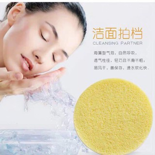 Mút rửa mặt bọt biển