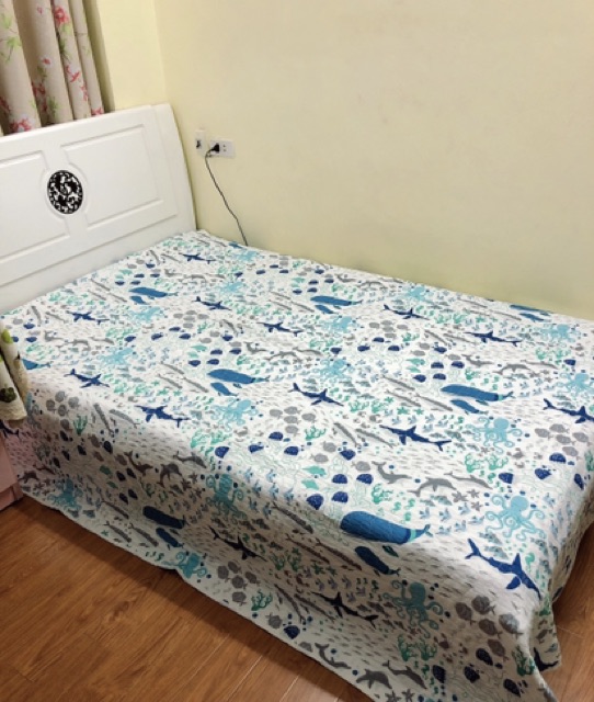 Chăn cotton hè thu chần bông 200*230