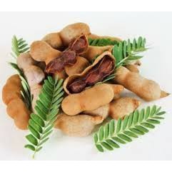 Cây me thái ngọt