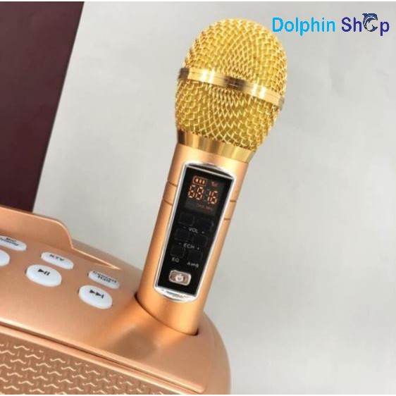 Loa Karaoke SD 306 Plus / SD 306 Bản 2021 Tặng Kèm 2 Micro Không Dây - Hàng Loại 1
