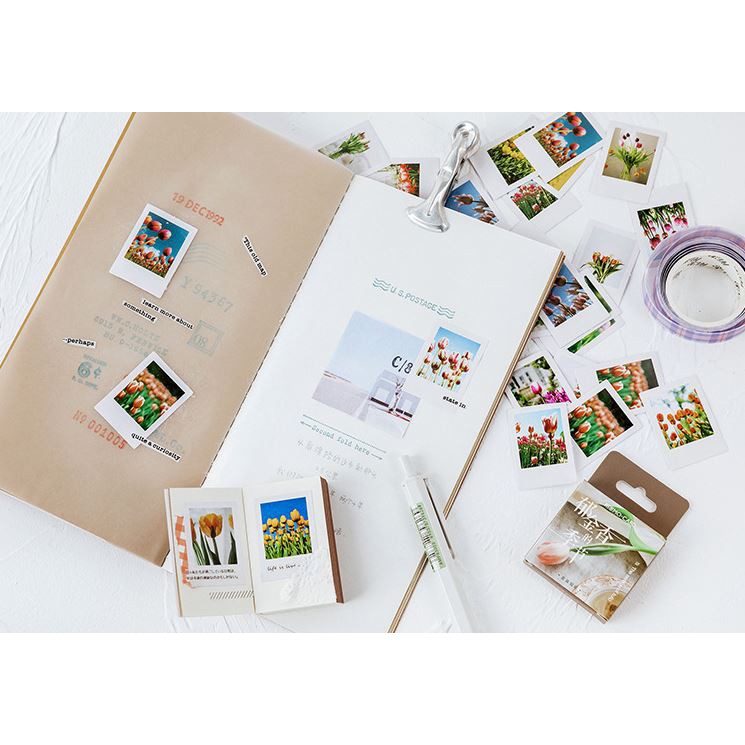 Bộ 46 Sticker Hoa Tulip Hà Lan E57