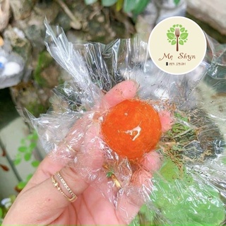 MỨT TẮC QUẤN