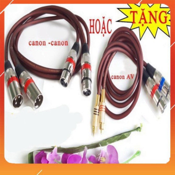 Lọc xì DBX 215 tặng 2 dây canon