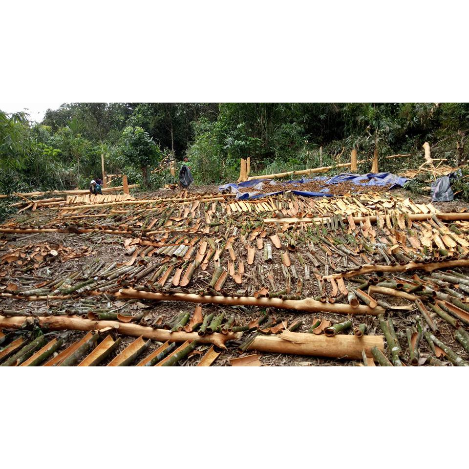 VỎ QUẾ Trà My tiêu chuẩn xuất khẩu 500 gram | BigBuy360 - bigbuy360.vn