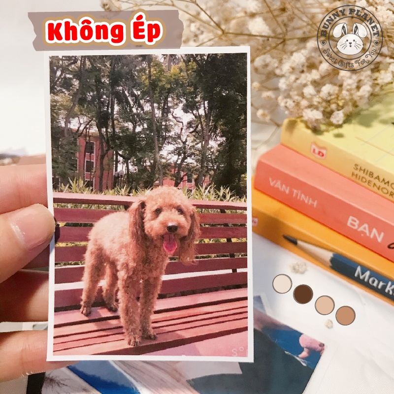 In Ảnh 6x9 theo yêu cầu 1k đã ép plastic, ép lụa - In Ảnh Tràn Viền, Chống nước, Siêu Bền