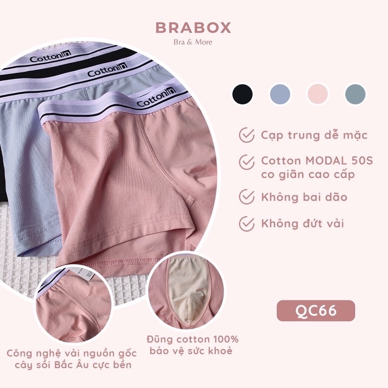Quần lót đôi nam nữ couple  cotton modal 50S BRABOX