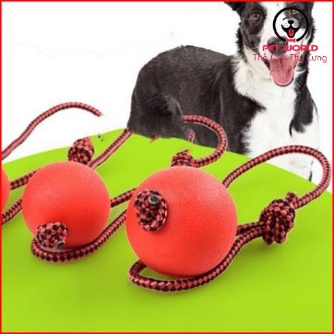 Đồ Chơi Bóng Cao Su Có Dây Huấn Luyện Chó Mèo