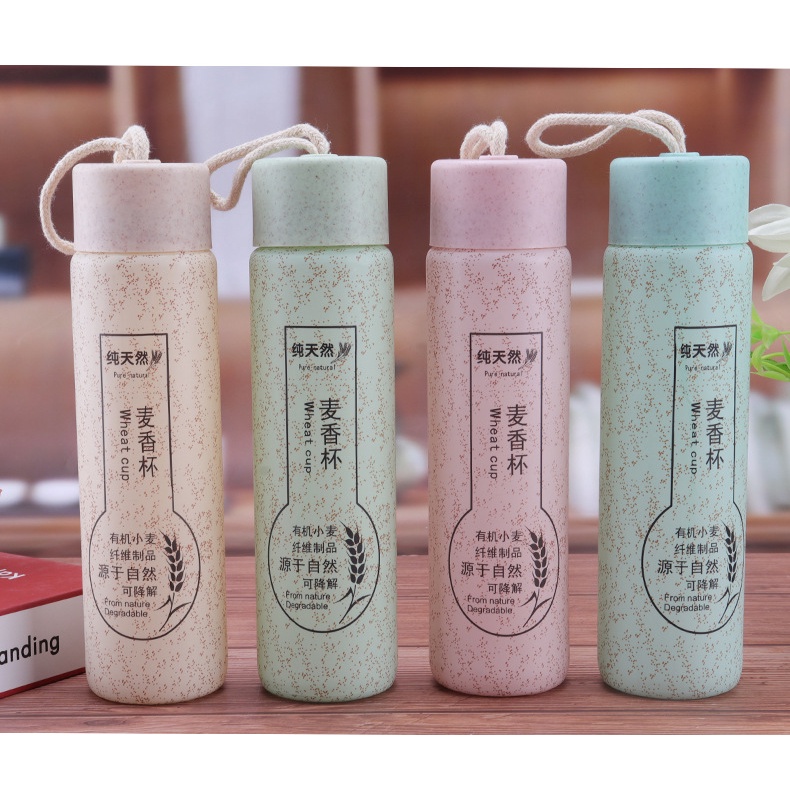 Bình đựng nước lõi thủy tinh, vỏ nhựa, mẫu mã độc đáo giữ nóng lạnh 6 đến 8 tiếng