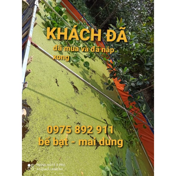 Bể bạt nuôi ốc ếch cá  3x2x1  - Giá xưởng MaiDung