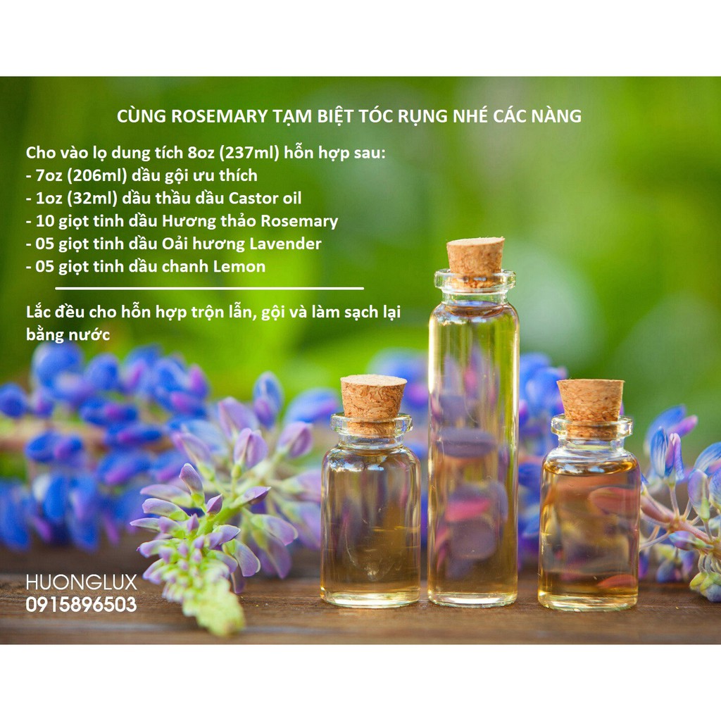 Tinh dầu Hương thảo Rosemary Essential Oil (2 loại)