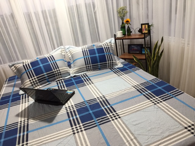 Bộ ga gối cotton alnena