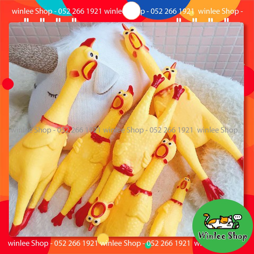 Đồ chơi cho chó bằng cao su hình con gà la hét, có 3 size lựa chọn DC016