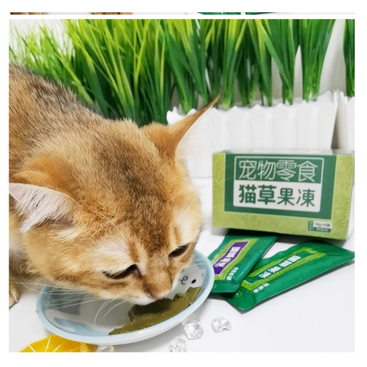 Súp Cỏ Catnip Bài Trừ Búi Lông Đẩy Lông Vón Cục Dạ Dày Mèo