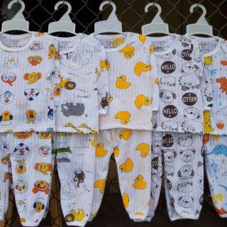 10b cotton giấy