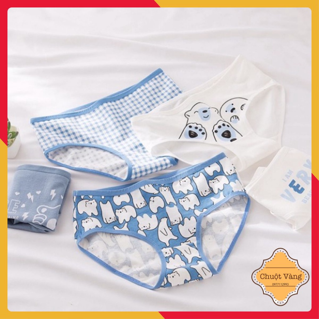 Combo 10 Chiếc Quần Lót Nữ  Gấu Xanh Cotton Quảng Châu Cao Cấp