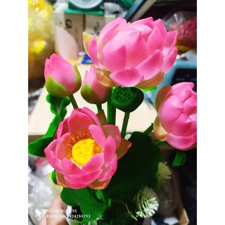 Chậu Sen đất sét ~30cm thành phẩm luôn chậu