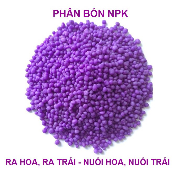 Phân Bón NPK Kích Thích Ra Hoa, Ra Trái - Nuôi Hoa, Nuôi Trái MINRO 15-5-20