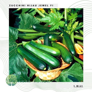Hạt giống bí xanh Courgette 10h