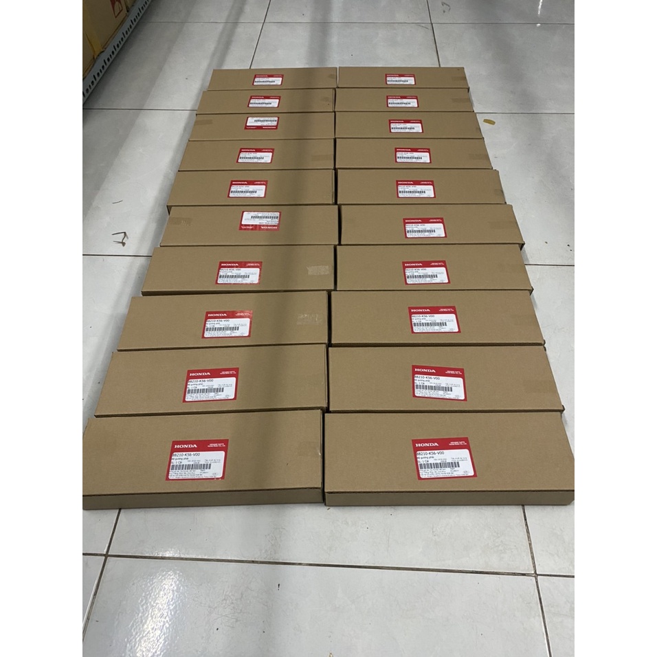 Tay côn tay thắng winner