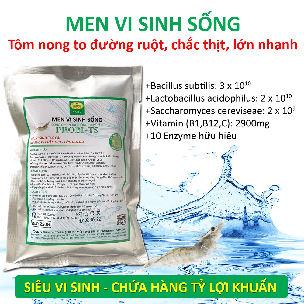 Vi sinh đường ruột cho Tôm