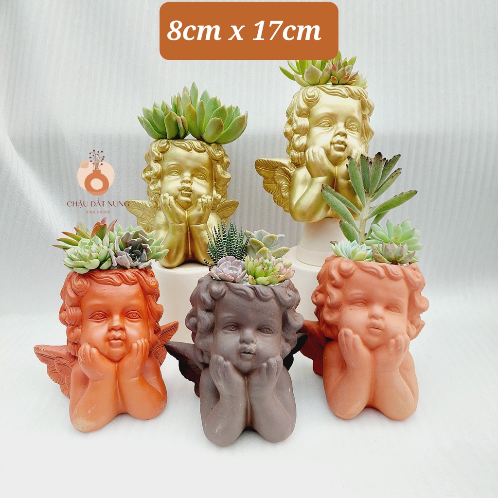 Chậu đất nung, Chậu sen đá - Thiên Thần 817, đường kính miệng 8cm, chiều cao 17cm