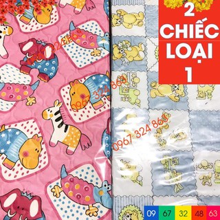[Dts123]  Combo 2 chiếu lót chống thấm ĐÀI LOAN to dành cho bé yêu