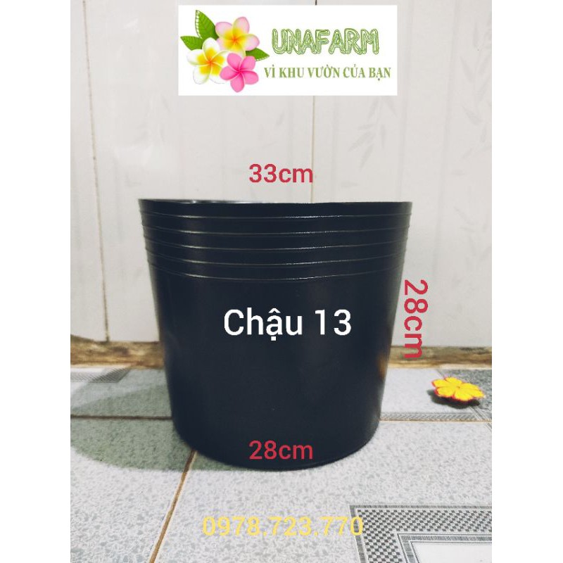 Chậu nhựa đen mềm size 13