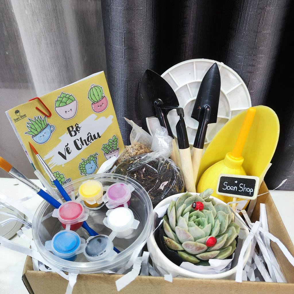 SET Quà Tặng Cho Bé ngày 1/6, Bộ Tự vẽ Chậu Cây sen đá màu Acrylic, kèm sẵn dụng cụ làm vườn và cây sen đá đất trồng