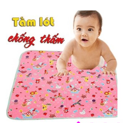 chiếu nhựa chống thấm Đài Loan to - Shop Chuyên Sỉ