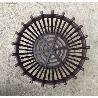 Chậu trồng lan phi 35cm có lan phụ