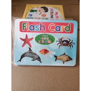 Thẻ học thông minh cỡ to - Flash card