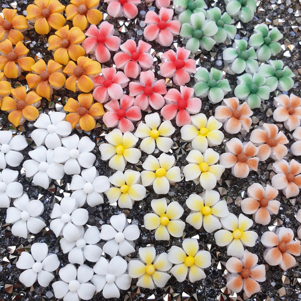 Hoa Sứ 5 cánh - Hoa  Bột Đính Móng 9HB