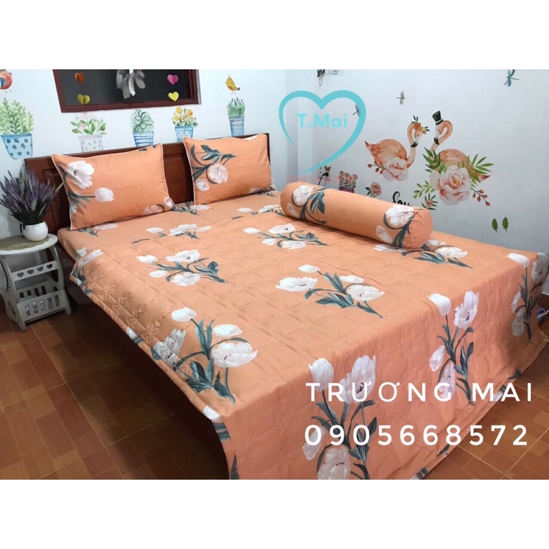 Bộ chăn ga 100% coton Hàn Quốc cao cấp sang trọng có mền kèm theo