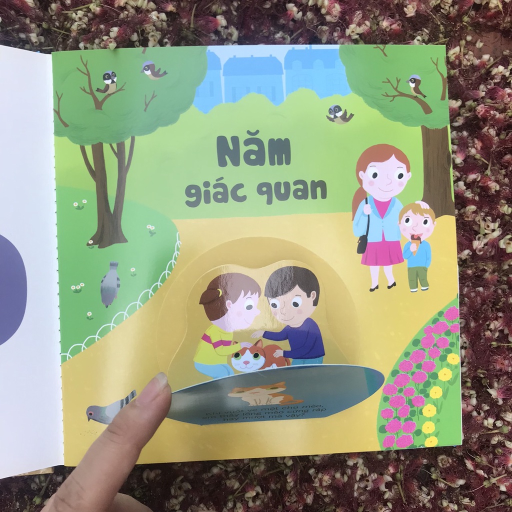 Sách Bách khoa tri thức đa tương tác – Năm giác quan