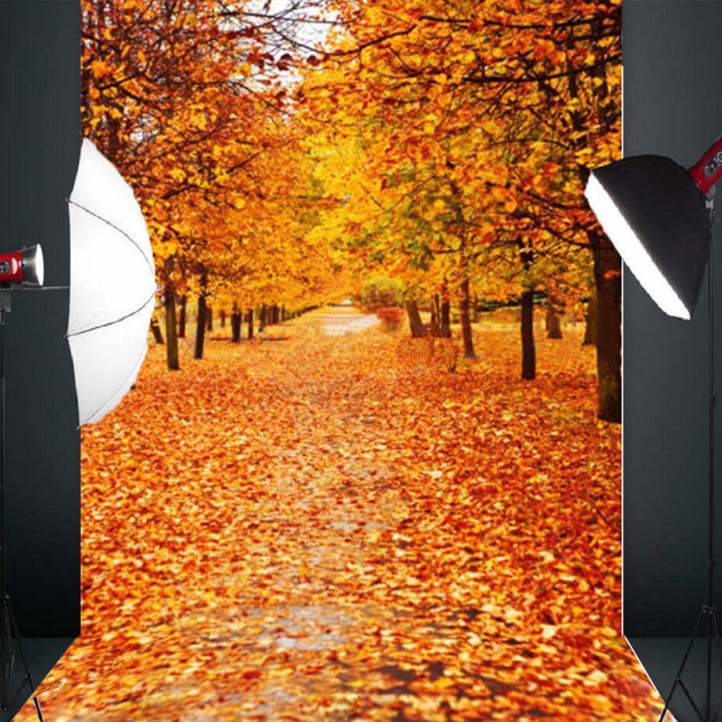 Phông nền chụp ảnh kích thước 5x7ft họa tiết khu rừng mùa thu lá vàng chất lượng cao