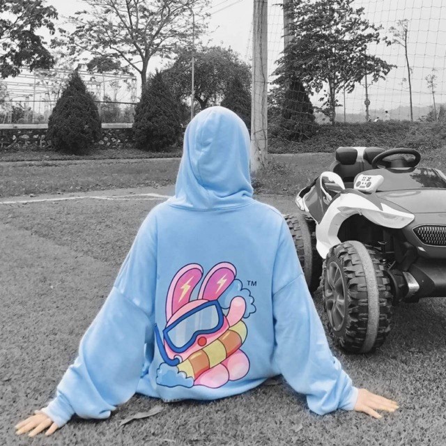 Áo Nỉ Mũ Hoodie Unisex Boom Shop Thú Bơi KH19