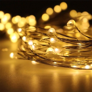 Đèn đom đóm 5m/10m( có shop)