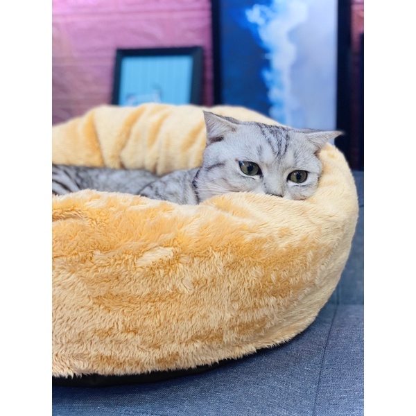 Ổ Nệm Cho Thú cưng
