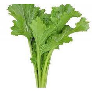 Gói 10 gram hạt giống rau cải mèo Sapa
