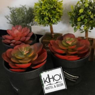 Sen đá giả mini