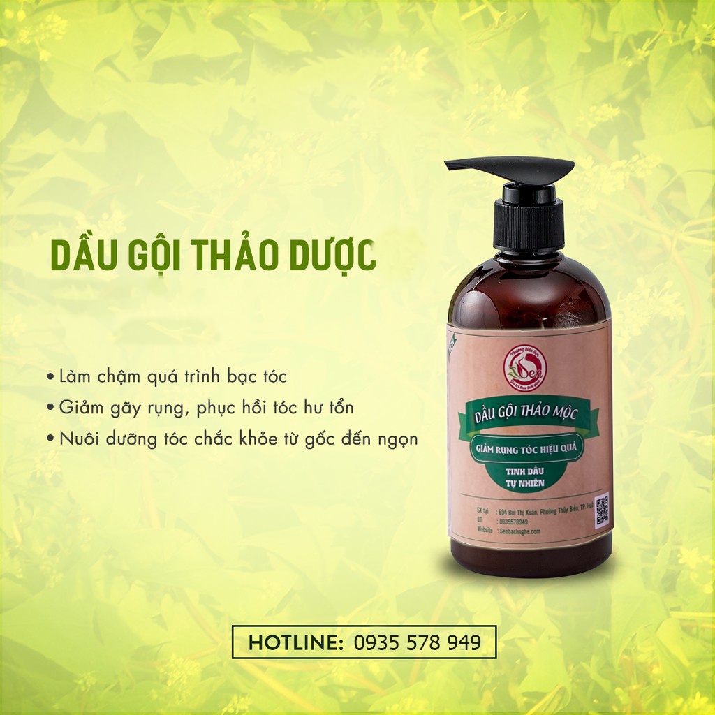 Dầu Gội Thảo Mộc ( công ty  Búp Sen)