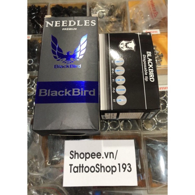 50 Kim+ngòi 15M1 đánh bóng ngang