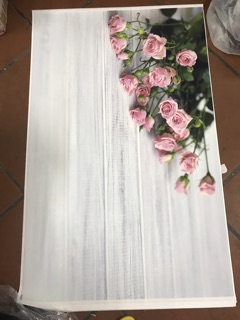 Thảm chụp hình 3D( ib chọn mẫu)