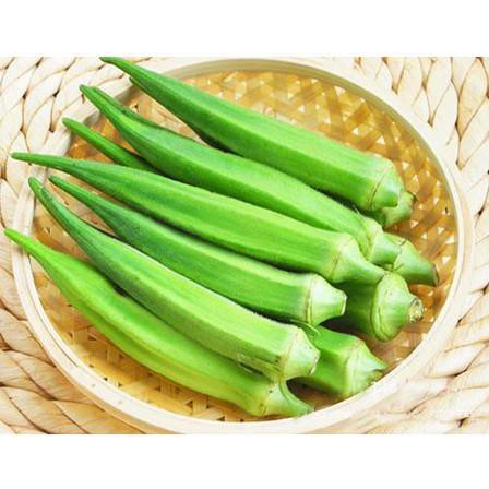 HẠT GIỐNG ĐẬU BẮP XANH CAO SẢN - HẠT GIỐNG NÔNG NGHIỆP I