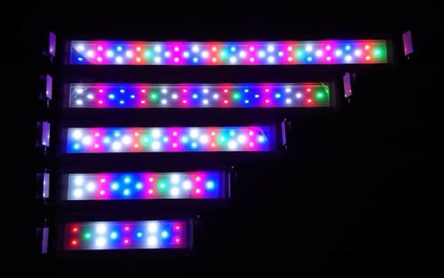 Đèn Led 3 chế độ-4 màu mix