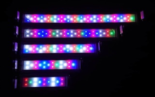 Đèn Led 3 chế độ-4 màu mix (cho bể 30-40-50-60cm)