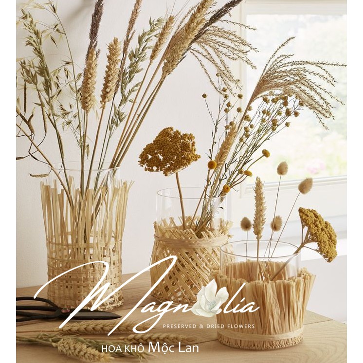 [HÀNG HIẾM] Hoa khô trang trí phong cách Bắc Âu ❤️FREESHIP❤️ Hoa khô Yarrow decor nhà cửa, tiệc cưới retro vintage