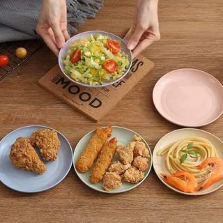 SET 6 ĐĨA LÀM TỪ LÚA MẠNH AN TOÀN